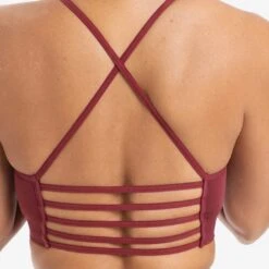 Sujetador Deportivo Mujer Seamless Freedom 40 Sujetador Deportivo Mujer Seamless Freedom -Burley Kids Store Shopify 1cf8c465 4bc4 41b5 b72d 1679e9dcb657